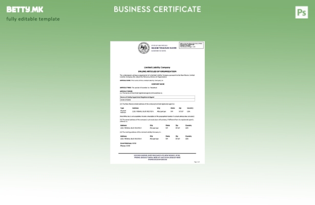 Модерен стил на САД Ново Мексико онлајн статии на организацијата Word и шаблон з